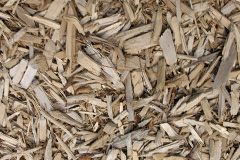 biomass boilers Rhydcymerau